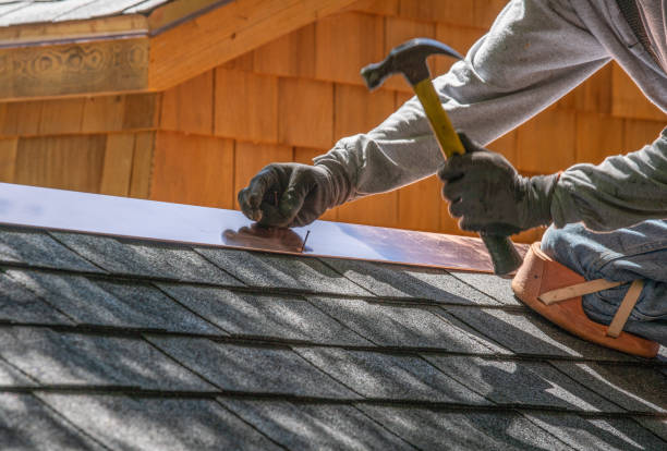 Roof Moss and Algae Removal in Fort Worth, TX